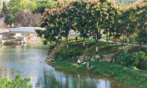 重庆南川滨河公园品质提升改造全面完成，城市绿化管理助力休闲观光体验全面升级