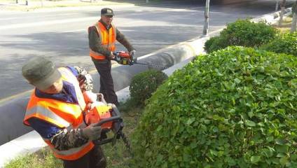 浑南区城市管理局 精细化养护为城市绿化注入新活力