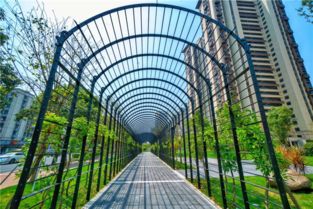 第二届数字中国建设峰会城市品质提升绿化工程第2标段——福州市园林局引领城市绿化管理数字化新篇章