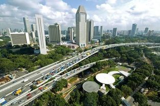 高架桥绿化 城市立体生态的绿色动脉与精细化管理新课题